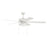 Craftmade Outdoor Super Pro 60" 1 Light Ceiling Fan
