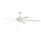 Craftmade Outdoor Super Pro 60" Ceiling Fan