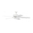 Craftmade Pro Plus 52" Fan With Blades, Low Profile Light Kit