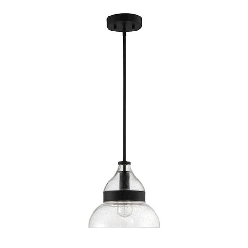 Craftmade 1 Light Mini Pendant