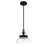 Craftmade 1 Light Mini Pendant