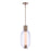 Craftmade Holmes 1 Light LED Pendant, Brass/Clear/Frosted