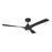 Craftmade Phoebe 52" 3-Blade Ceiling Fan, Black