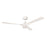Craftmade Phoebe 52" 3-Blade Ceiling Fan Light, White/Frost White - PHB52W3