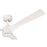 Craftmade Phoebe 52" 3-Blade Ceiling Fan Light, White/Frost White