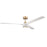 Craftmade Phoebe 60" Ceiling Fan