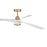 Craftmade Phoebe 1Lt 60" Fan, Satin Brass/White