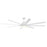 Craftmade Rush 1 Lt Ceiling Fan/Blades Included