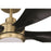 Craftmade Rosalie 52" 5-Blade 1 Light Ceiling Fan, Satin Brass