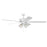 Craftmade Super Pro 104 60" Fan With Blades, 4 Light Kit, Clear
