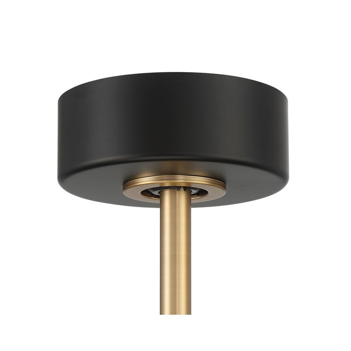 Craftmade Taylor 1Lt 20" Fan, Flat Black/Brass/Clear Acrylic