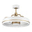Craftmade Taylor 24" 1 Lt Ceiling Fan & Blades