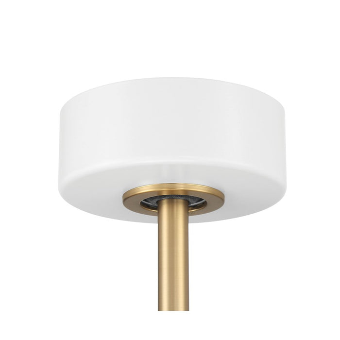 Craftmade Taylor 1Lt 20" Fan, White/Satin Brass/Clear Acrylic