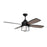 Craftmade 52" Waterfront Ceiling Fan