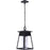 Craftmade Becca 1 Light Large Outdoor Pendant Textured Matte Black
