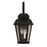 Craftmade Briarwick Outdoor Lantern