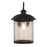 Craftmade O'Fallon 1 Light Outdoor Lantern, Bronze/Seeded