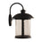 Craftmade O'Fallon 1 Light Outdoor Lantern, Bronze/Seeded