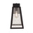 Craftmade Sorano 1 Light 13.88" Outdoor Lantern, Black/Clear