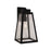 Craftmade Sorano 1 Light 16.75" Outdoor Lantern, Black/Clear