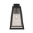 Craftmade Sorano 1 Light 16.75" Outdoor Lantern, Black/Clear