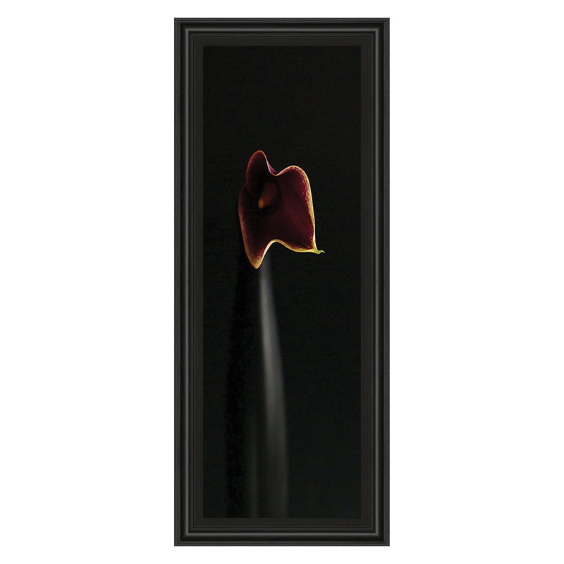 Classy Living Calla Elegance Wall Art 18"x42", Midnight Aura Frame