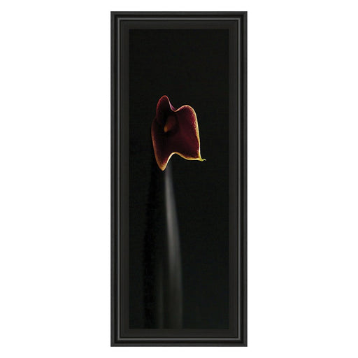 Classy Living Calla Elegance Wall Art 18"x42", Midnight Aura Frame - 1123