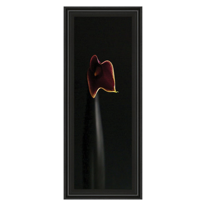 Classy Living Calla Elegance Wall Art 18"x42", Midnight Aura Frame - 1123