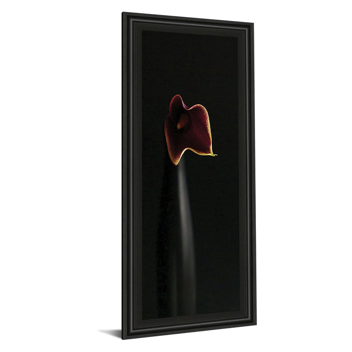 Classy Living Calla Elegance Wall Art 18"x42", Midnight Aura Frame