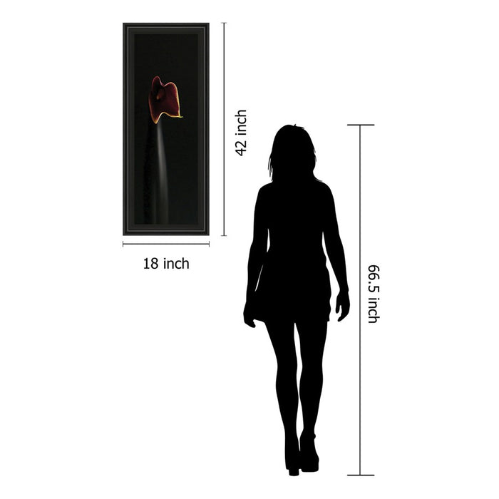 Classy Living Calla Elegance Wall Art 18"x42", Midnight Aura Frame