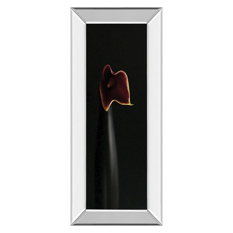 Classy Living Calla Elegance Wall Art 18"x42", Mirrored Frame