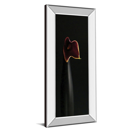 Classy Living Calla Elegance Wall Art 18"x42", Mirrored Frame