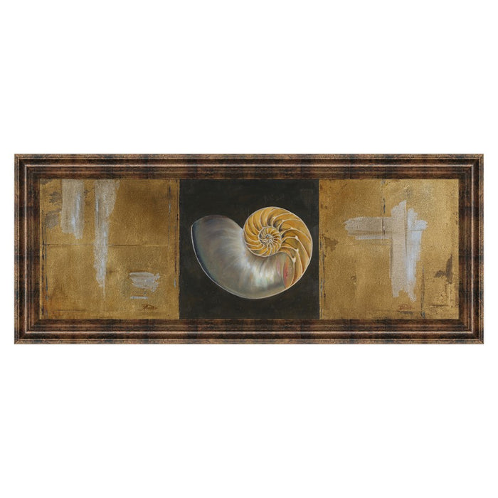 Classy Living Seashell Spiral Wall Art 42"x18", Dark Chocolate Frame