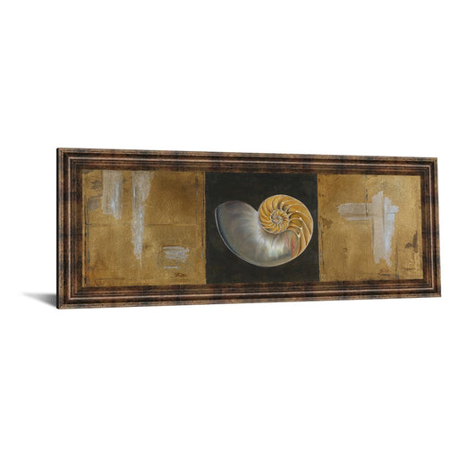Classy Living Seashell Spiral Wall Art 42"x18", Dark Chocolate Frame