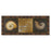 Classy Living Seashell Elegance Wall Art 42"x18", Dark Chocolate Frame