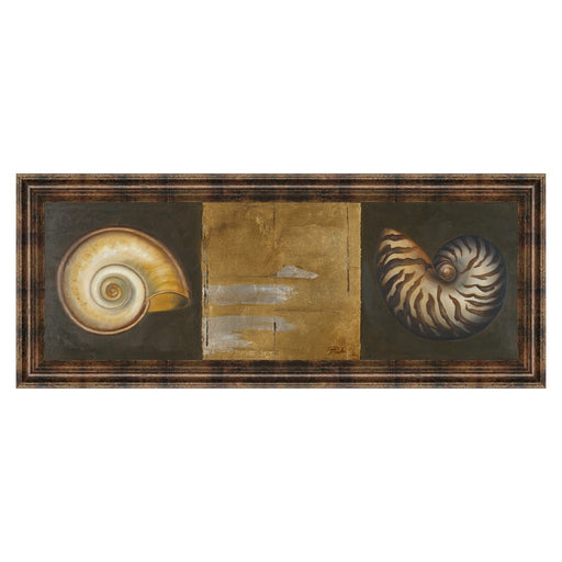Classy Living Seashell Elegance Wall Art 42"x18", Dark Chocolate Frame
