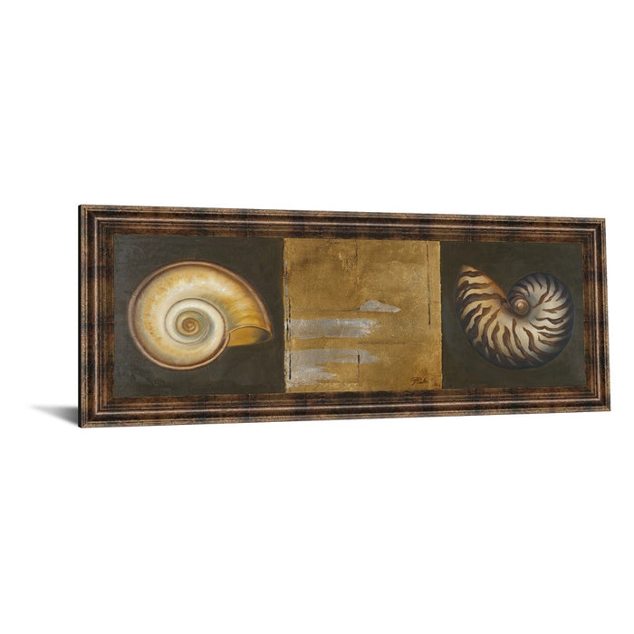 Classy Living Seashell Elegance Wall Art 42"x18", Dark Chocolate Frame