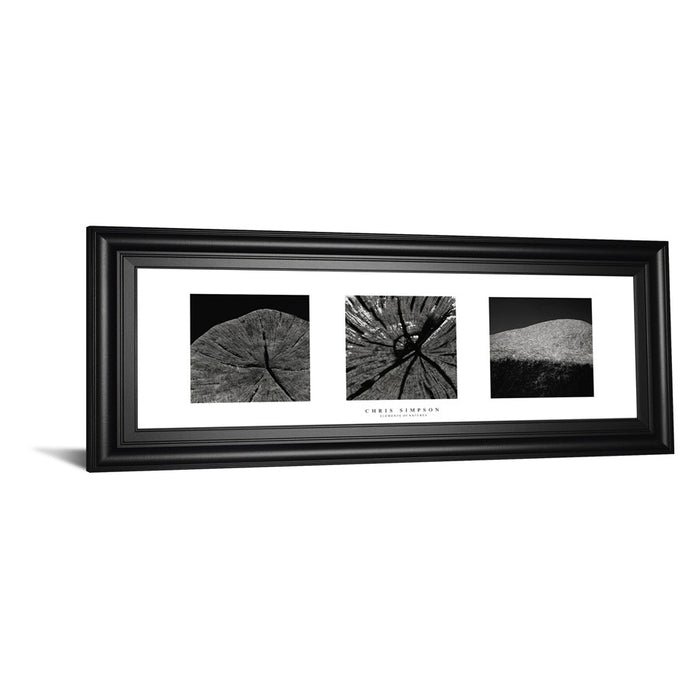 Classy Living Nature's Textures Wall Art 42"x18", Black Frame