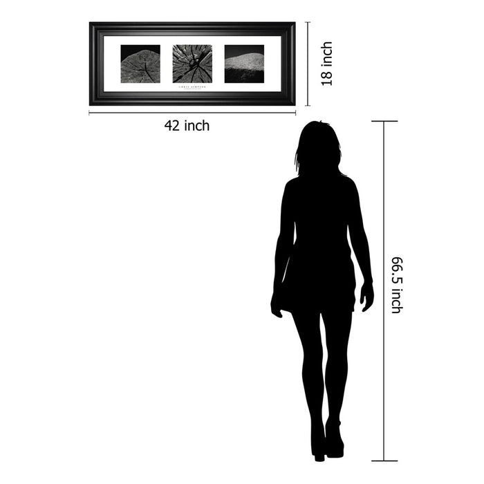Classy Living Nature's Textures Wall Art 42"x18", Black Frame