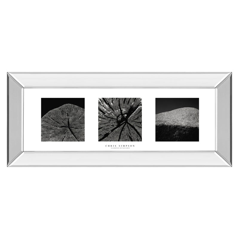 Classy Living Nature's Textures Wall Art 42"x18", Mirrored Frame