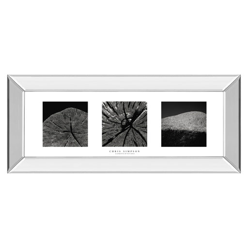 Classy Living Nature's Textures Wall Art 42"x18", Mirrored Frame