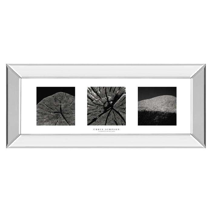 Classy Living Nature's Textures Wall Art 42"x18", Mirrored Frame