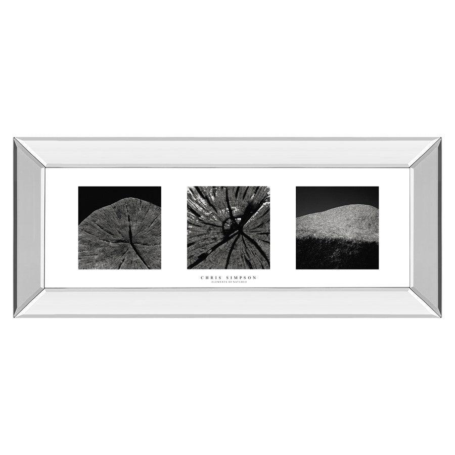 Classy Living Nature's Textures Wall Art 42"x18", Mirrored Frame