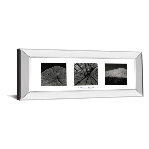 Classy Living Nature's Textures Wall Art 42"x18", Mirrored Frame