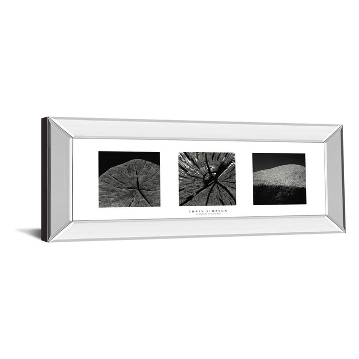 Classy Living Nature's Textures Wall Art 42"x18", Mirrored Frame