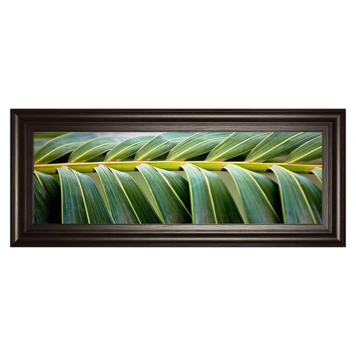 Classy Living Palm Harmony Wall Art 42"x18", Dark Chocolate Frame