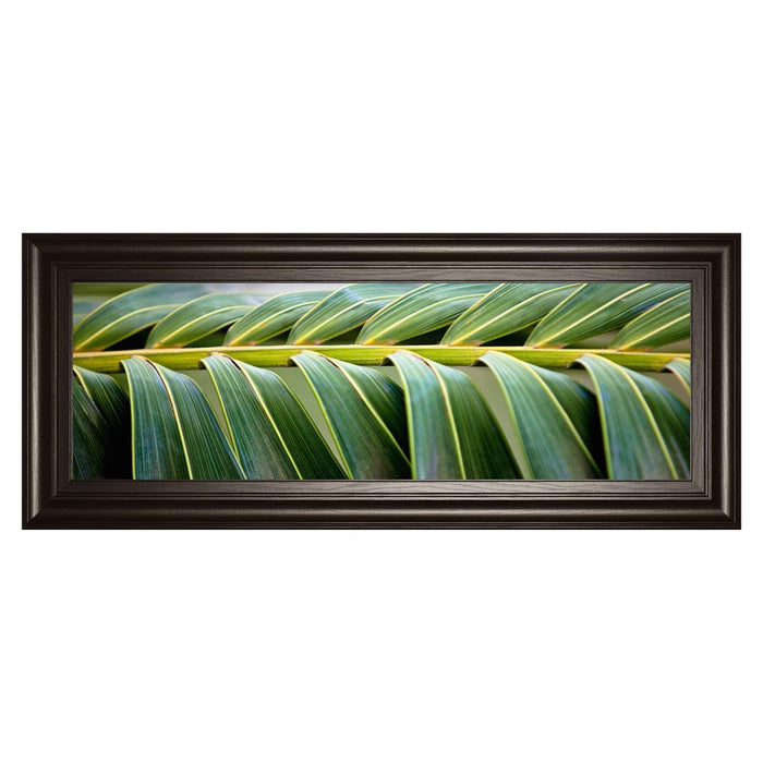 Classy Living Palm Harmony Wall Art 42"x18", Dark Chocolate Frame