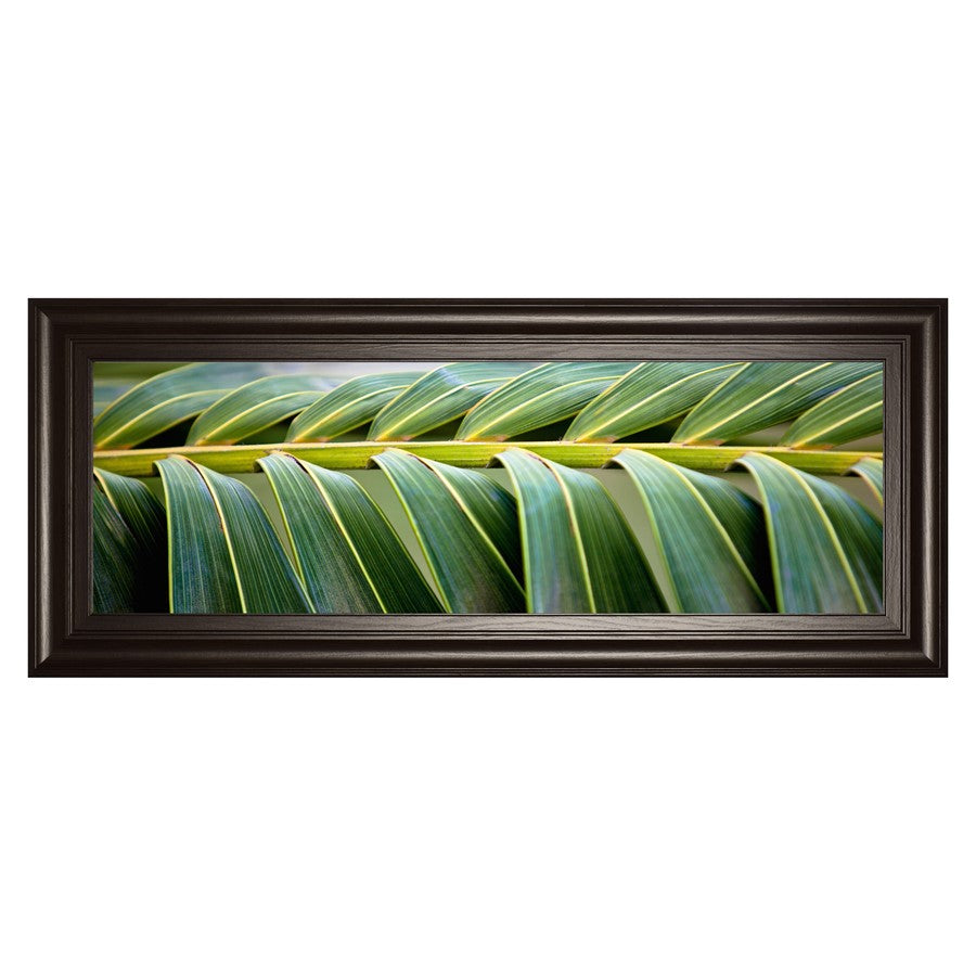 Classy Living Palm Harmony Wall Art 42"x18", Dark Chocolate Frame