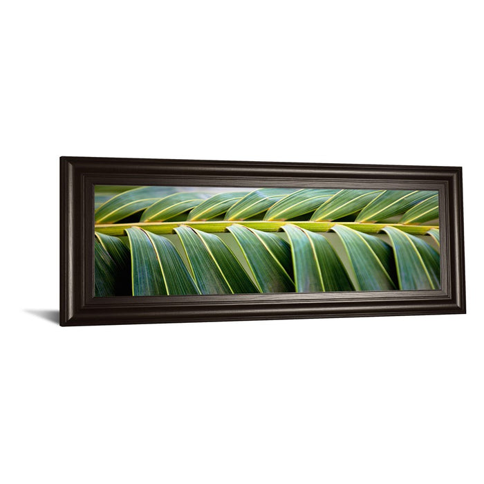 Classy Living Palm Harmony Wall Art 42"x18", Dark Chocolate Frame