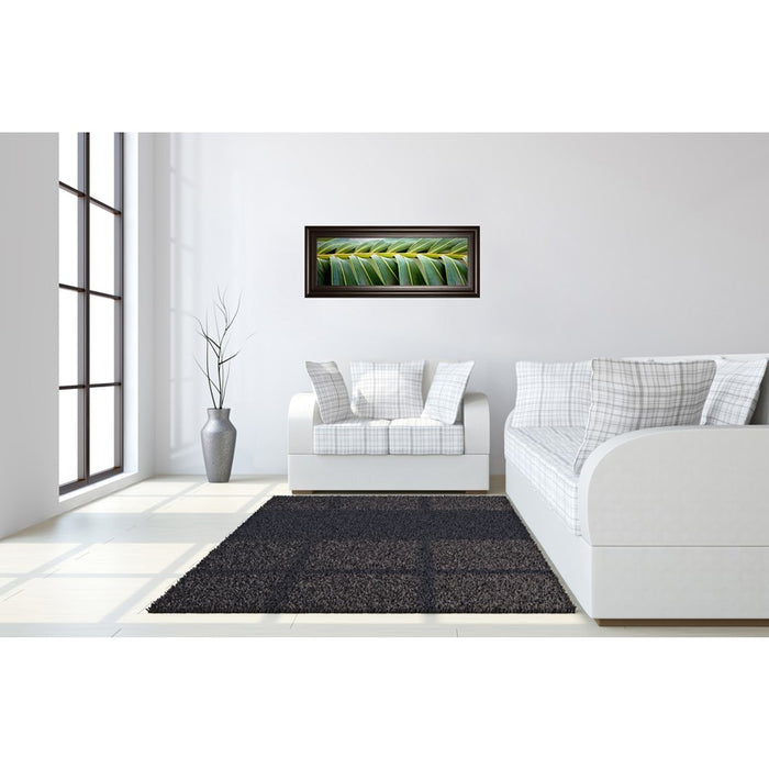 Classy Living Palm Harmony Wall Art 42"x18", Dark Chocolate Frame